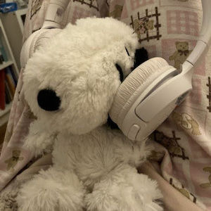 Meet your Posher, Ava